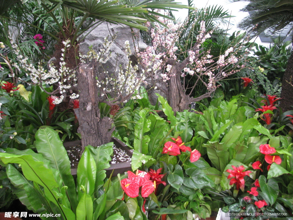 花房美景