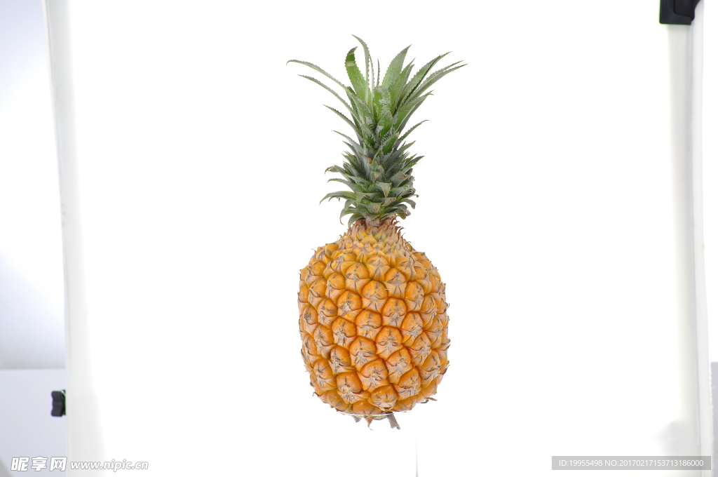 手扒菠萝