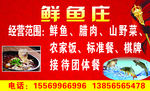 鱼