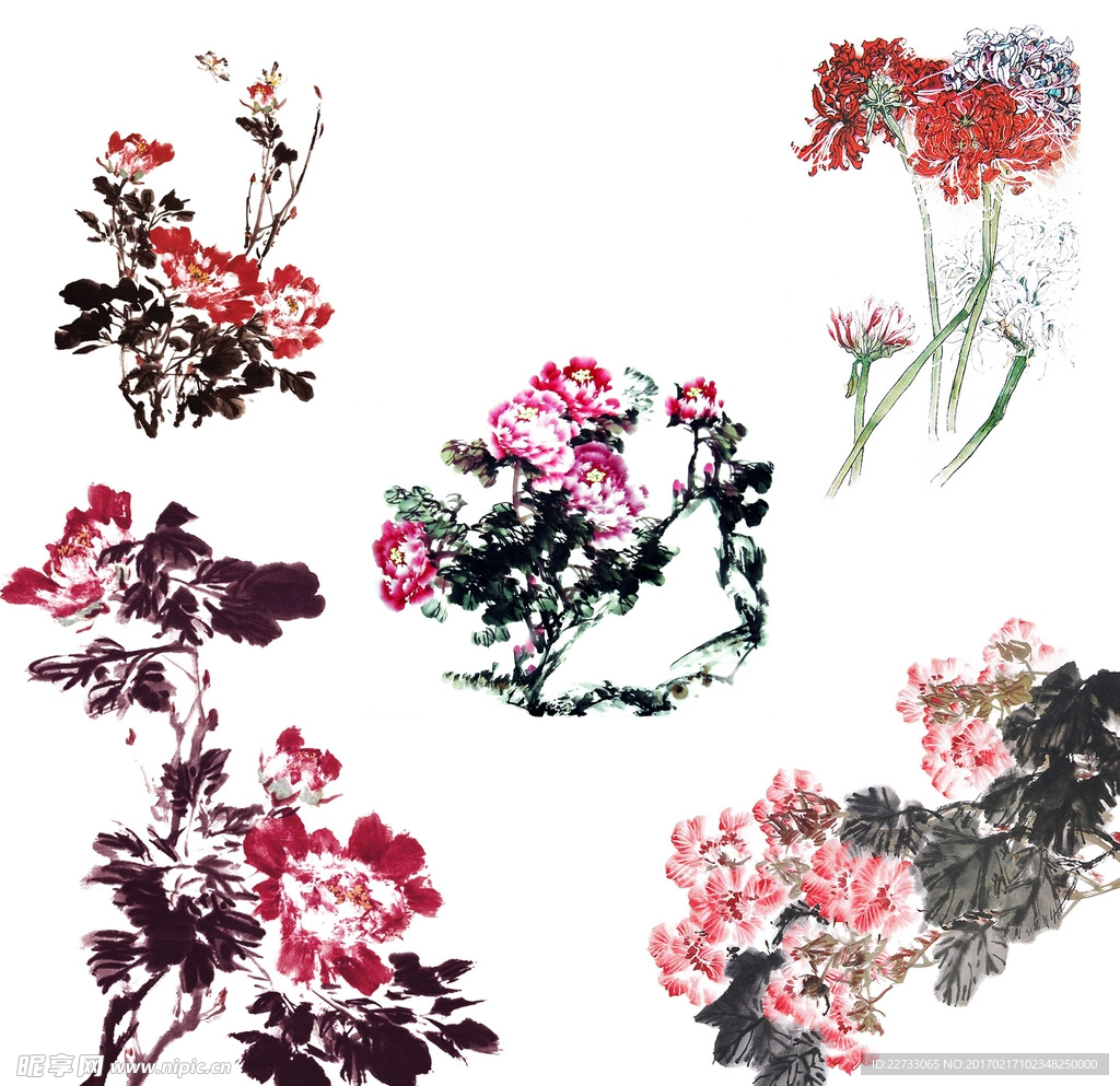 书画牡丹