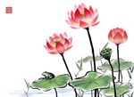 水墨荷花图片