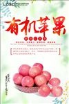 有机苹果