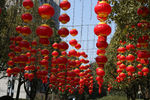 新年广场灯笼