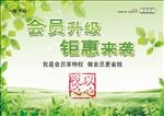 春天