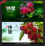 沙果
