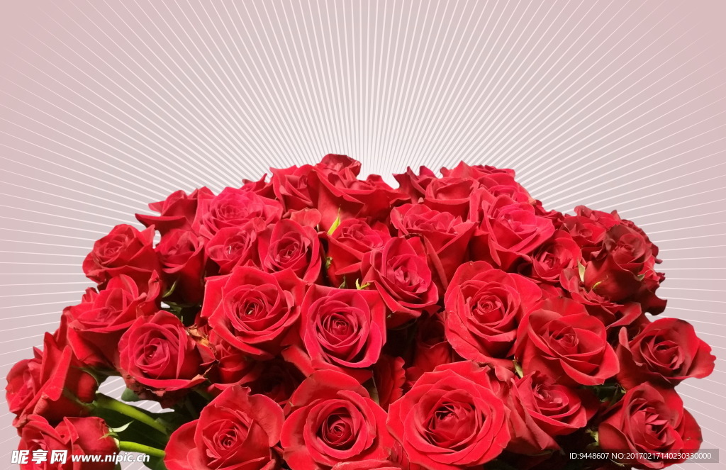 妇女节玫瑰花束图片