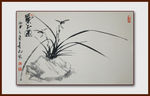 国画兰花