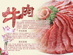 牛肉简介