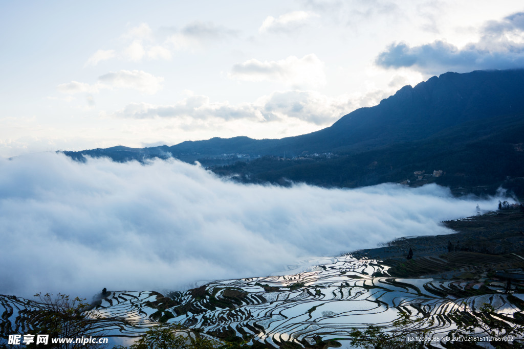 元阳梯田