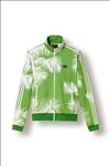 ADIDAS休闲运动服宣传广告