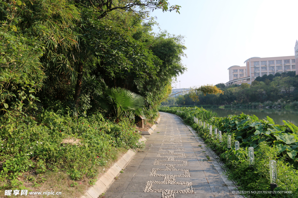 湖边小路