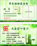蚂蚁农场大麦若叶青汁名片