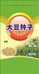 大豆种子（展开图）