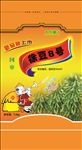 豆种（展开图）