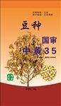 黄豆种子（展开图）