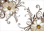 艺术花纹 时尚花边 创意花边