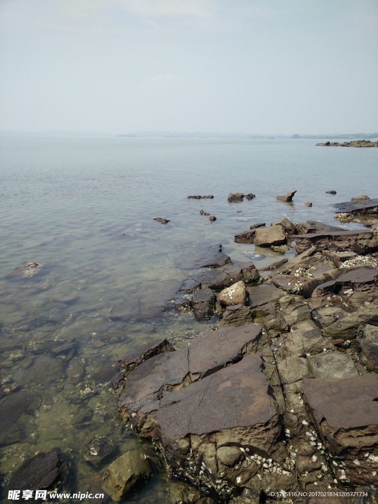 海边石滩