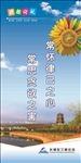 遵德守礼 反腐标语