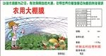 大棚（展开图）