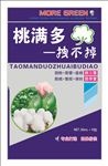 桃满多（展开图）