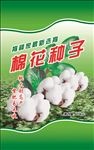 棉花种子（分层）