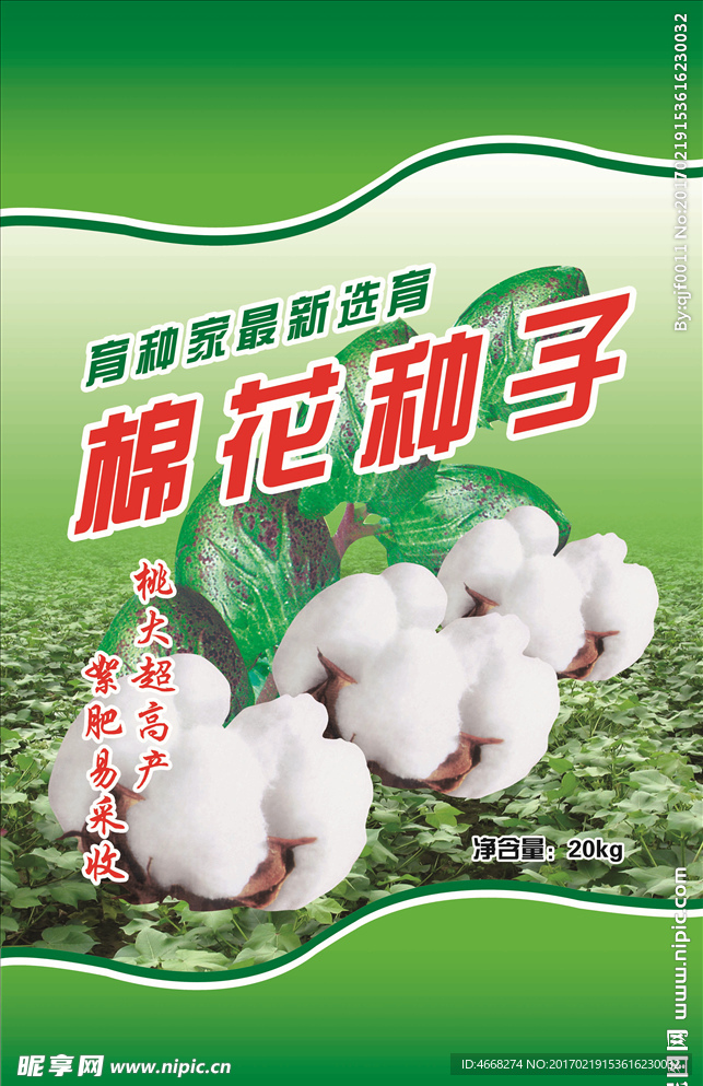 棉花种子（分层）