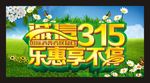 315促销