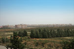 沙柳基地