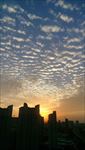 夕阳