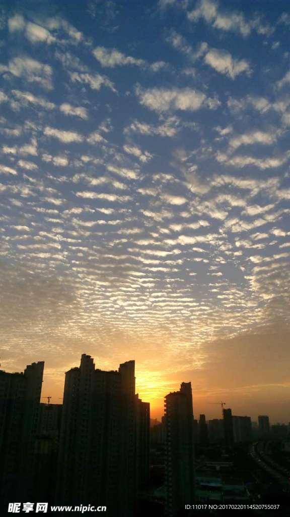 夕阳