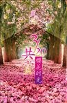 樱花节宣传海报
