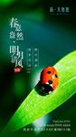 二十四节气惊蛰微信画面设计