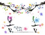 唯美的花朵