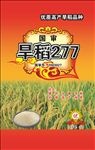 水稻（分层）