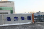 远东集团