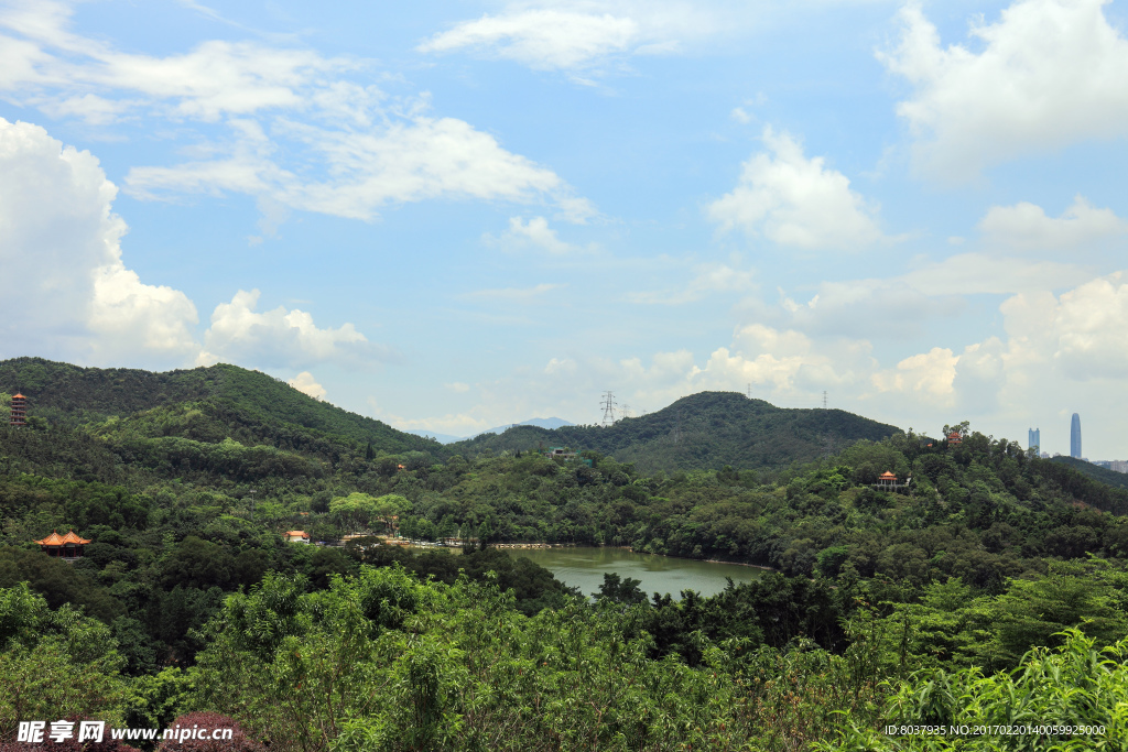 深圳仙湖植物园