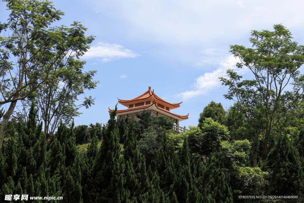 深圳仙湖植物园