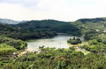 深圳仙湖植物园