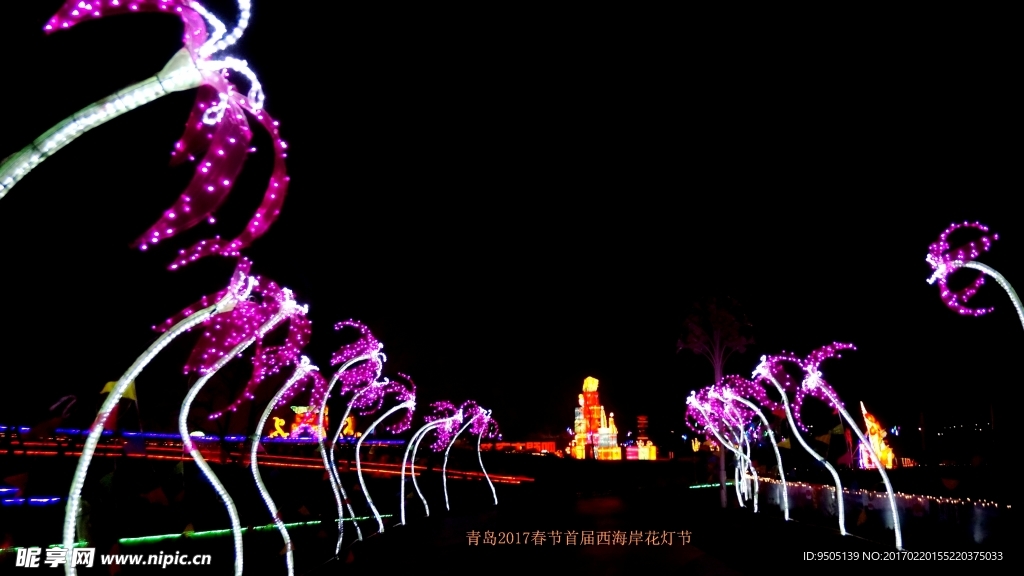 花花世界