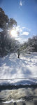 雪景