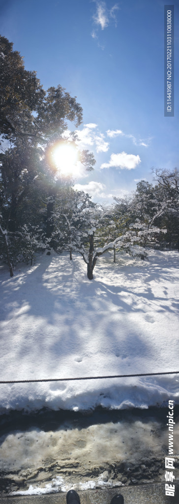 雪景