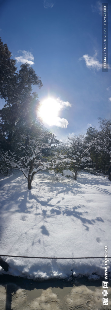 雪景