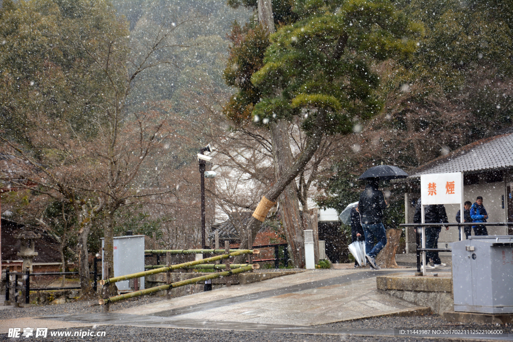 京都清水寺雪天