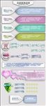 买家必读模板