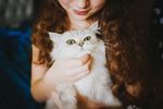 猫咪