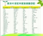 鲜花花卉产品价目表