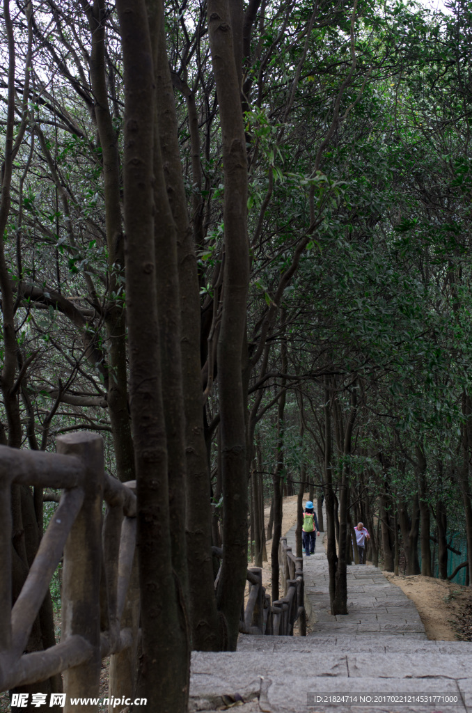 登山步道