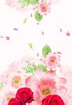 花朵背景