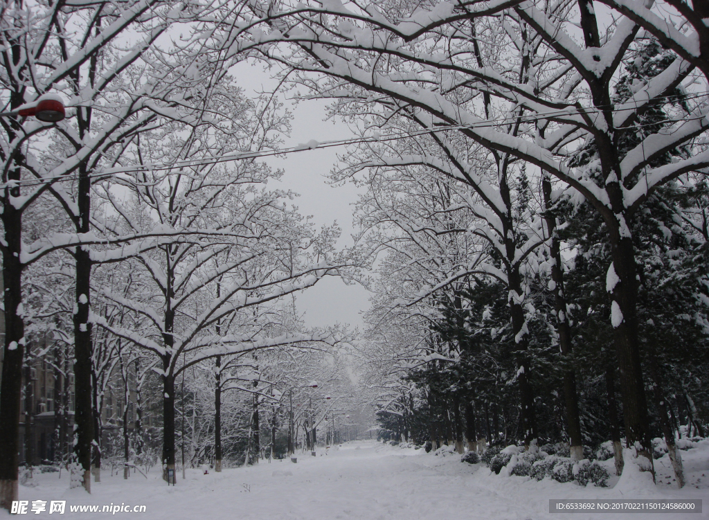 校园雪景