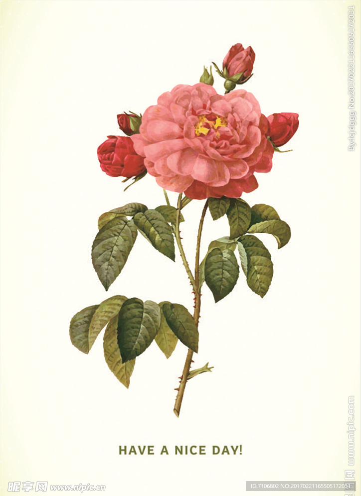 花纹